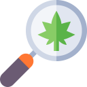 healthcare,miscellaneous,magnifying glass,nature,search,loupe,research,botanical,treatment,leaf,drug,Weed,Cannabis,Marijuana,medical research,medicinal