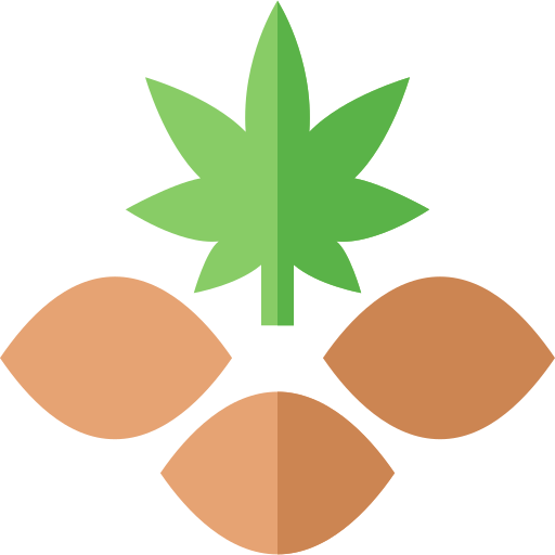 Cannabis