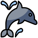 animals,animal kingdom,aquarium,sea life,animal,aquatic,dolphin ok 