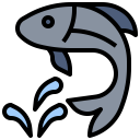 food,animals,fish,animal,fishes,foods,supermarket,meats,meat ok 