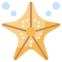 animals,aquarium,sea life,animal,aquatic,starfish