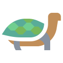 animals,sea life,animal,aquatic,turtle,sea,sea animal