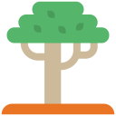ecology and environment,ecology,nature,botanical,tree,gardening,garden,yard,fruit tree