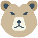 animals,mammal,wild life,animal kingdom,animal,wild,bear,grizzly