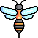 animals,nature,bee,animal kingdom,animal,insect,fly,wings