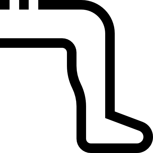 Leg