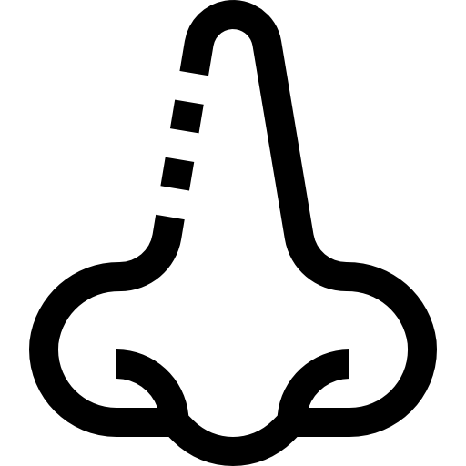 Nose