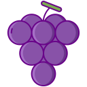 food,food and restaurant,fruit,grape,grapes,fruits,berry,berries,bouquet ok 