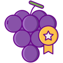 food,food and restaurant,organic,diet,fruit,grape,fruits,selection,bouquet,grade ok 