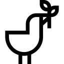 animals,peace,bird,animal,pigeon,dove,fly,wings ok 