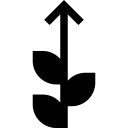 business and finance,investment,up,arrow,nature,plant,arrow up,growth,increase,benefits ok 