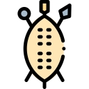 cultures,shield,security,protection,arrows,miscellaneous,weapons,zulu