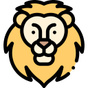 animals,wildlife,zoo,safari,lion,wild animals,jungle