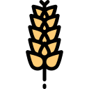 food,vegetable,food and restaurant,plant,grain,flour,gluten