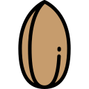 food,vegan,healthy food,food and restaurant,vegetarian,almond,nuts
