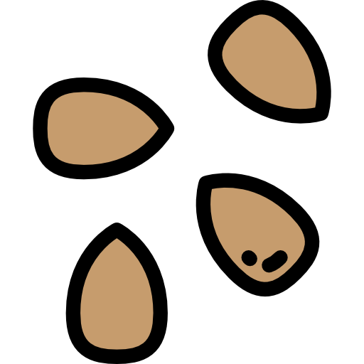 Sesame