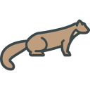 animals,wild life,animal kingdom,zoo,marten ok 