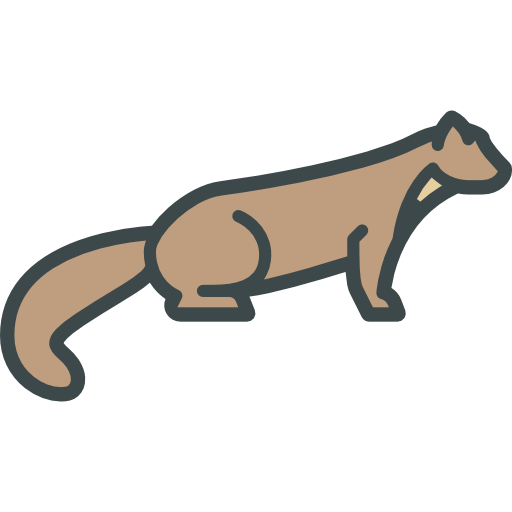Marten