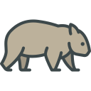 animals,wild life,animal kingdom,zoo,wombat ok 