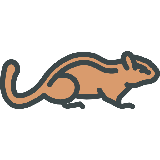 Chipmunk