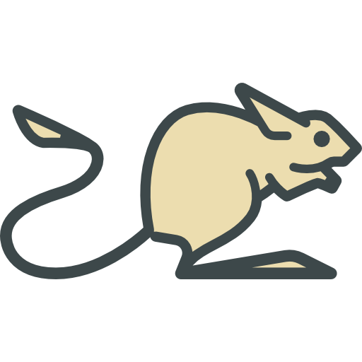 Jerboa