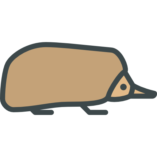 Echidna
