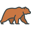 animals,wild life,animal kingdom,zoo,bear ok 