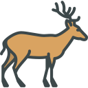 animals,wild life,animal kingdom,zoo,deer ok 