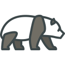 animals,wild life,animal kingdom,zoo,bear,panda