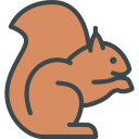 animals,wild life,animal kingdom,zoo,squirrel