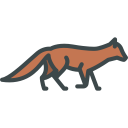 animals,wild life,animal kingdom,zoo,fox ok 