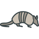 animals,wild life,animal kingdom,zoo,armadillo ok 