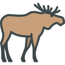 animals,wild life,animal kingdom,zoo,moose ok 