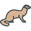 animals,wild life,animal kingdom,zoo,weasel ok 