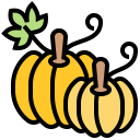 food,vegan,healthy food,food and restaurant,organic,diet,vegetarian,fruit,pumkin