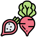 food,vegetable,vegan,healthy food,food and restaurant,organic,diet,vegetarian,natural,salad,radish