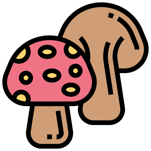 Mushroom