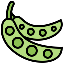 food,vegetable,vegan,healthy food,food and restaurant,organic,diet,vegetarian,nutrition,legume,peas