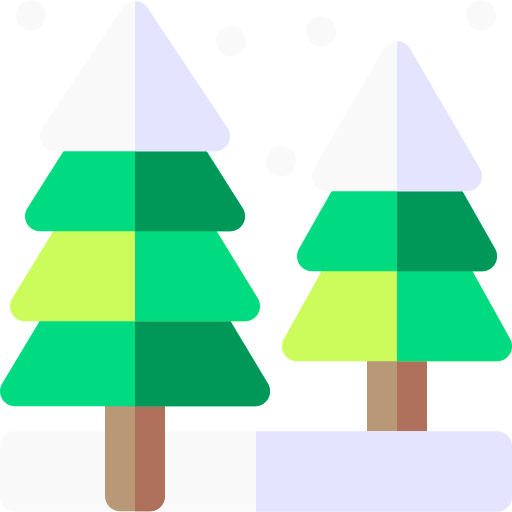Fir