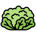 vegetable,vegan,healthy food,food and restaurant,organic,diet,vegetarian,ingredient,cauliflower,culinary