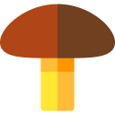 vegetable,vegan,healthy food,food and restaurant,organic,diet,healthcare and medical,nature,mushroom,Fungi