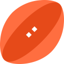 sports and competition,sport,sports,equipment,sports ball,rugby