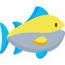food,animals,food and restaurant,fish,animal,fishes,foods,tuna,salmon