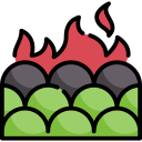security,nature,fire,tree,forest,flammable,forest fire,burning tree,conflagration