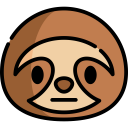 animals,wild life,zoology,sloth,marsupial