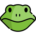 animals,wild life,animal kingdom,amphibian