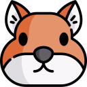 animals,wild life,animal,Rodent,zoology
