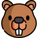 animals,wildlife,avatar,animal,zoology,beaver