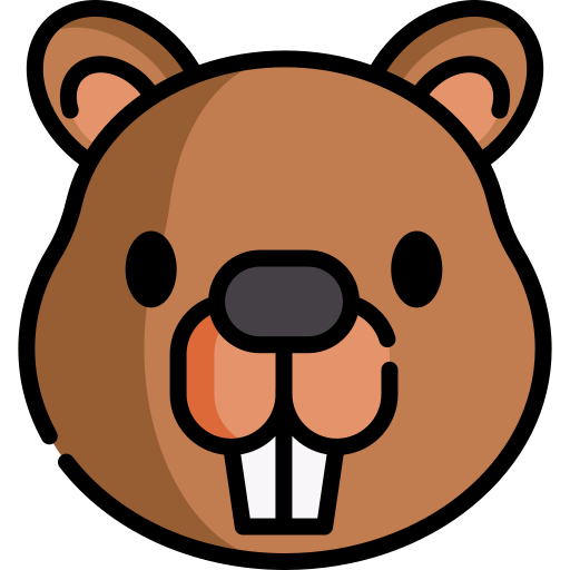 Beaver