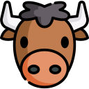 animals,wildlife,animal kingdom,bull